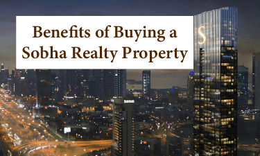 Dubai city skyline with modern buildings and palm trees along a wide street in daylight