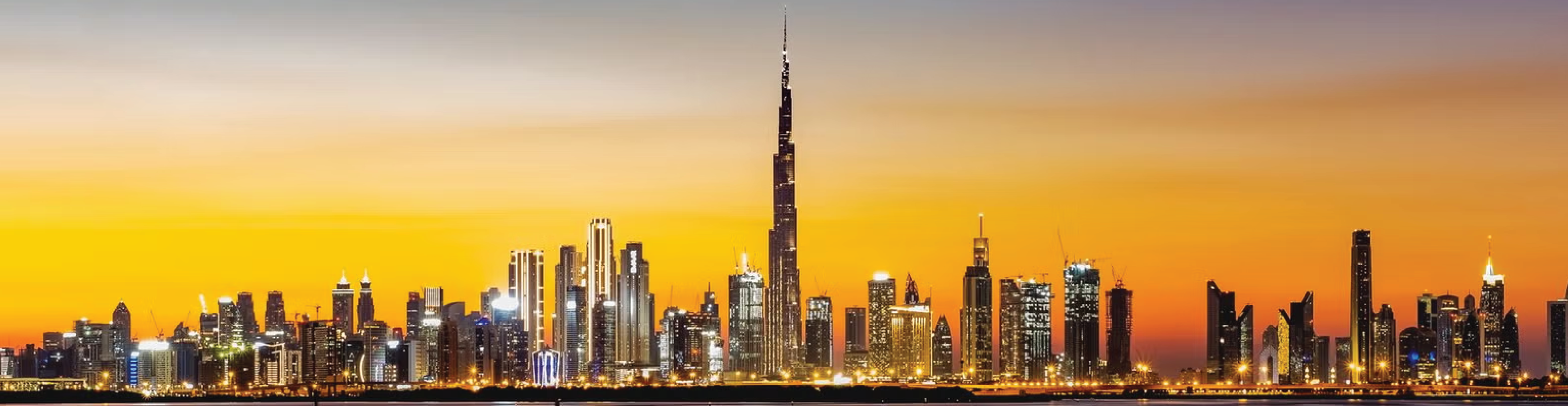 UAE Investment Landscape