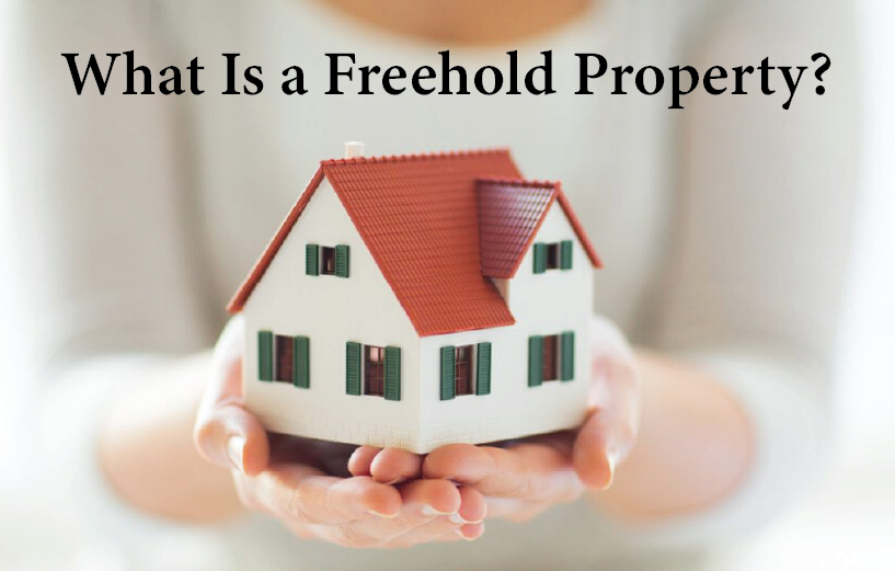 Dubai Property Investment